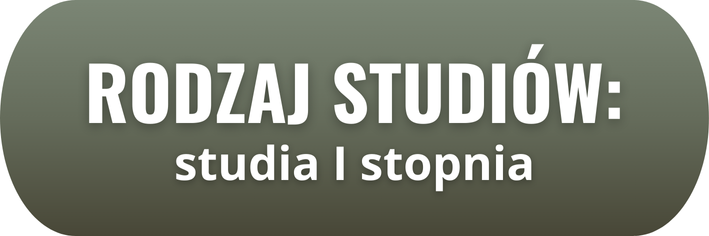 Rodzaj studiów: studia I stopnia.