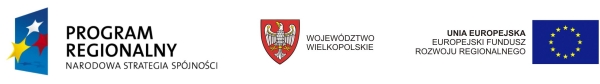 Logo Programu Regionalnego Narodowa Strategia Spójności, Województwa Wielkopolskiego, Unii Europejskiej - Europejskiego Funduszu Rozwoju Regionalnego.