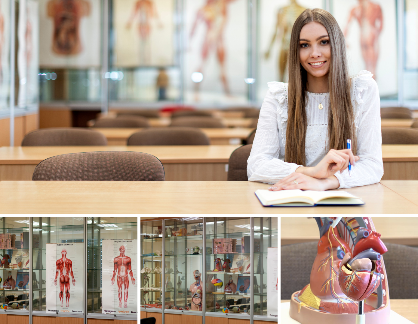 Cztery zdjęcia pracowni anatomii, na których znajdują się części ciała człowieka.